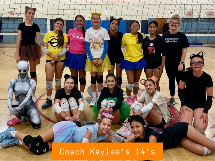 Workforce and job preparation